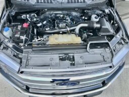 
										Ford Truck F150 Lariat 2020 full									